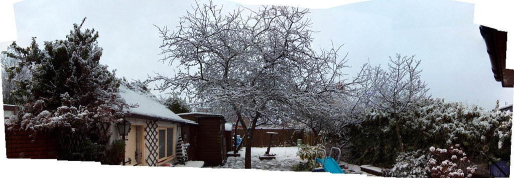 snowybackgarden